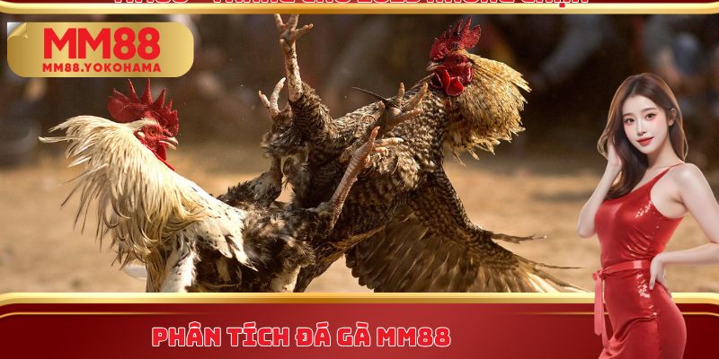 Phân tích đá gà MM88